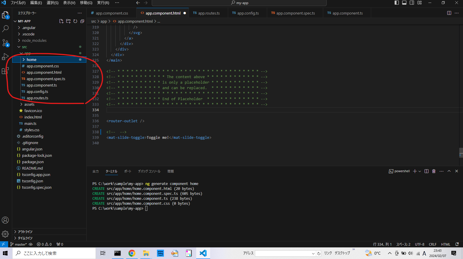 Angulartest.PNG